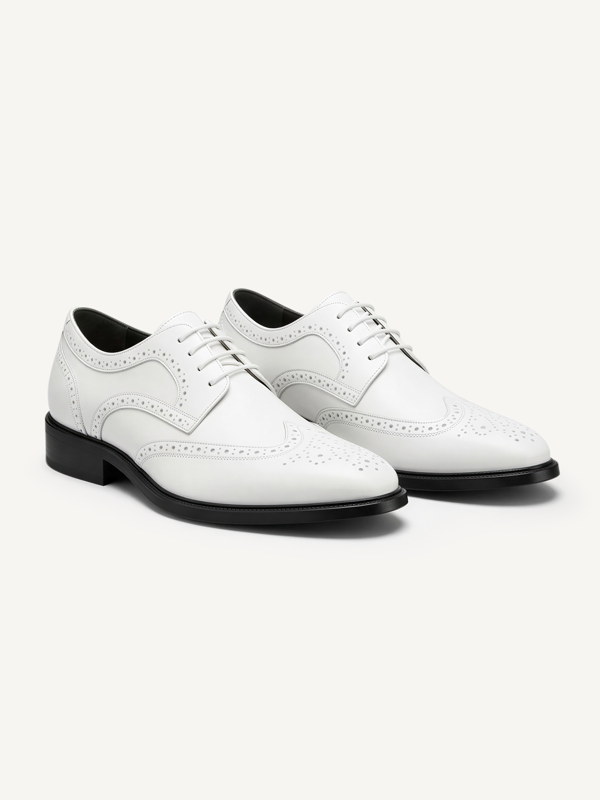 Elegante Business Schuhe